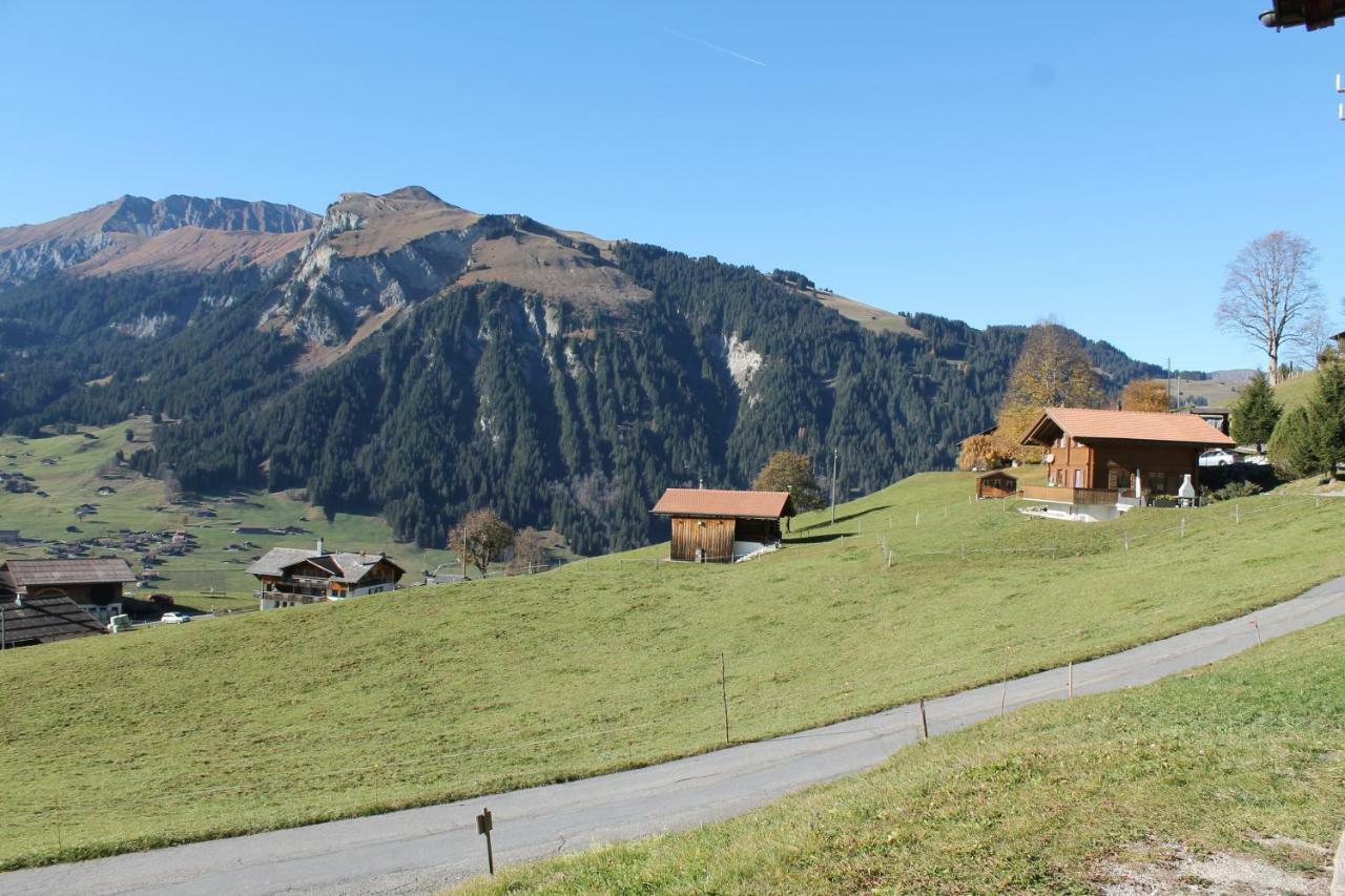 Chalet Weissenberg レンク エクステリア 写真