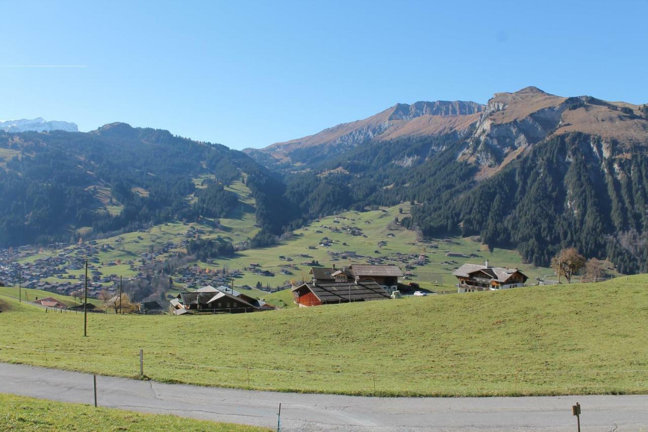 Chalet Weissenberg レンク エクステリア 写真
