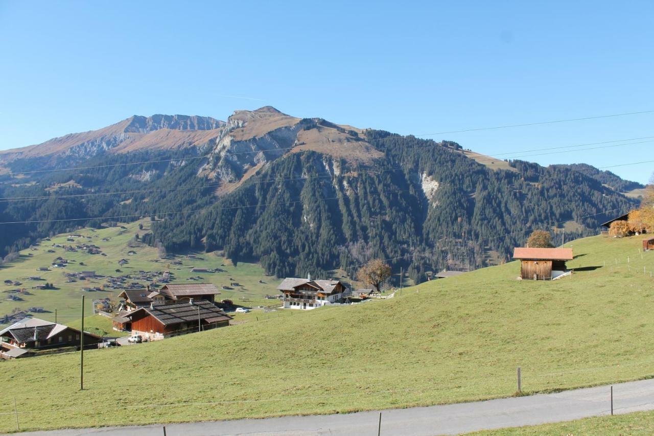 Chalet Weissenberg レンク エクステリア 写真