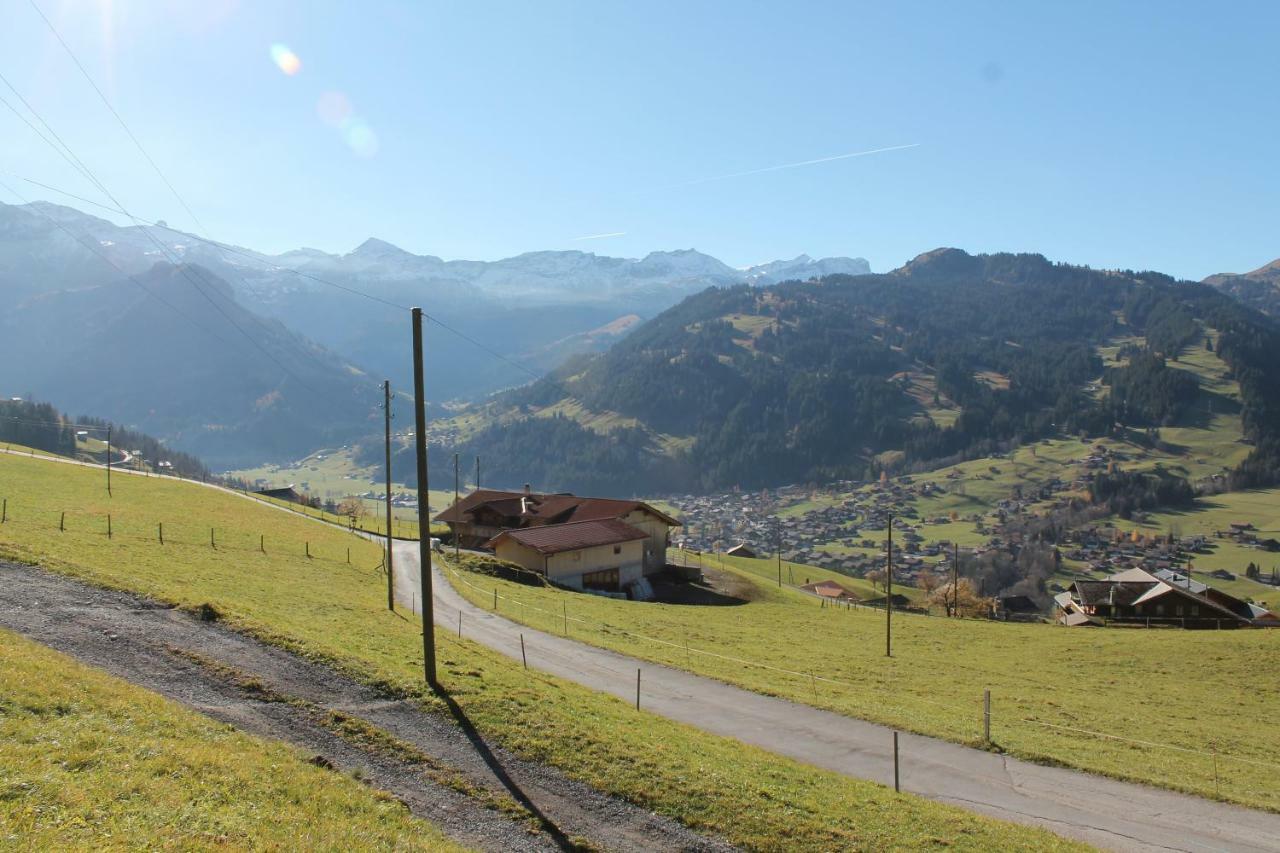 Chalet Weissenberg レンク エクステリア 写真