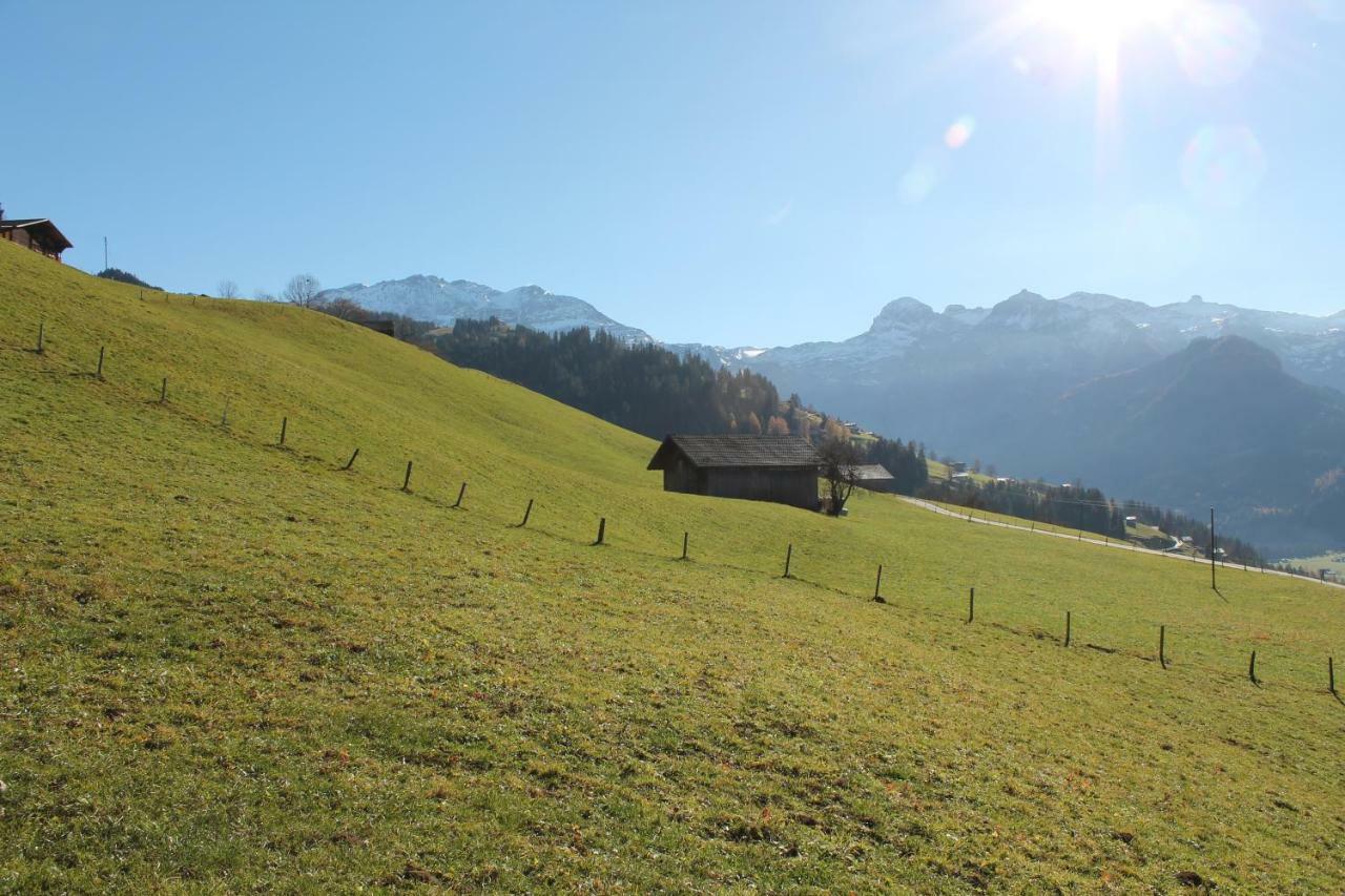 Chalet Weissenberg レンク エクステリア 写真